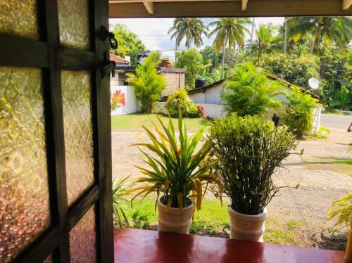 Hostal Bole Guest Bentota