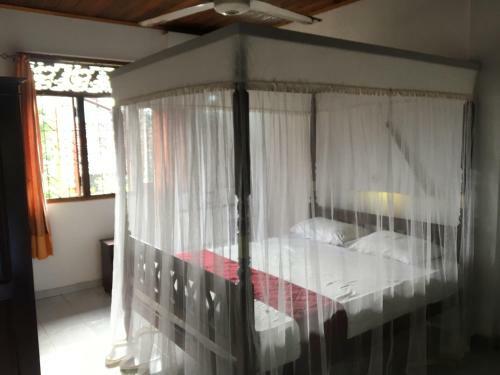 Hostal Little Paradise Guest House