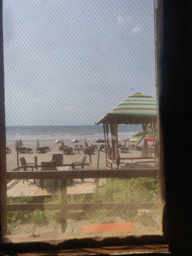 Hostal Sydney X Cafe & Beach Huts