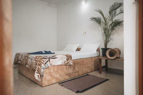 Hostal Deshu's Little Italy