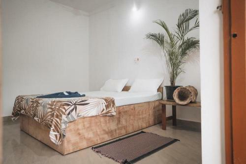Hostal Deshu's Little Italy