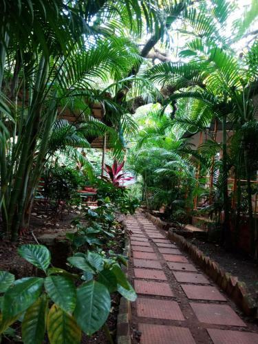 Lodge Casa Courtyard