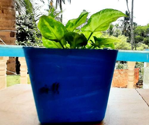 Hostal Omkar Guest House