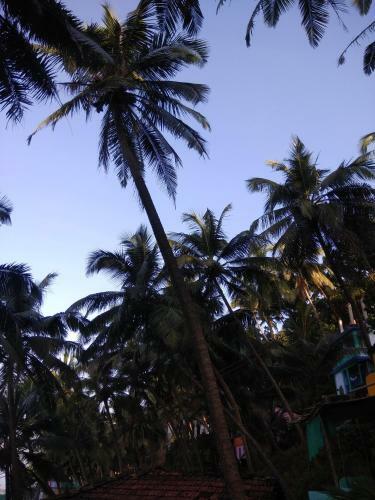 Hostal Om Ganesh Naik Guest House