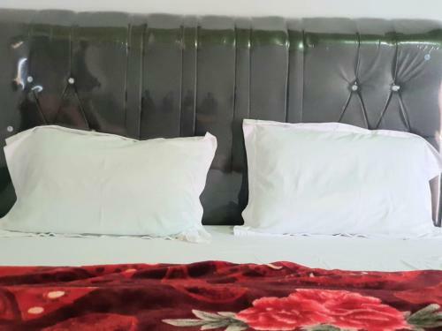 Hostal Pemandian Air Panas Dan Penginapan Green Suta