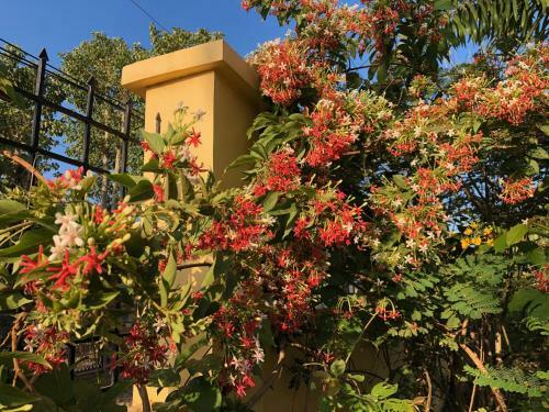 Hotel Strutz Art Garden Resort