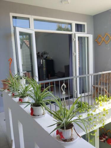 Apartamento Cozy Villa H?i An