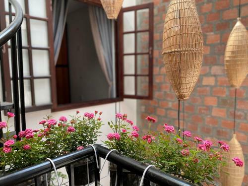 Villa Okra Hoian