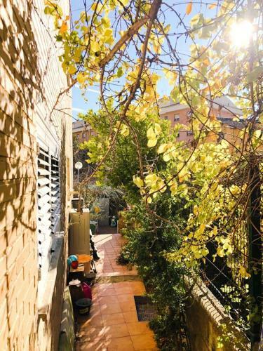 Apartamento Baldissera