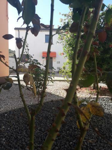Hostal Pensi�n Matarra�a