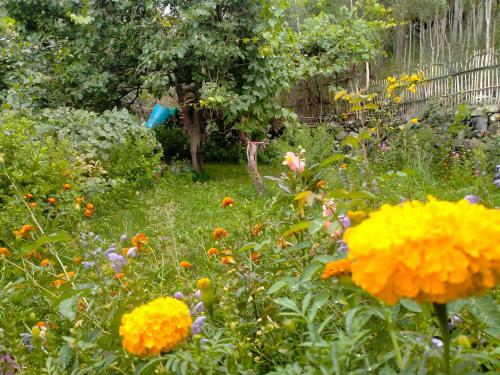 Hostal Aleem Resort & Guest House