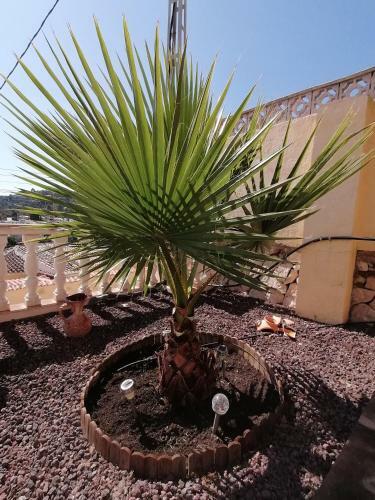 Apartamento Bellavista I