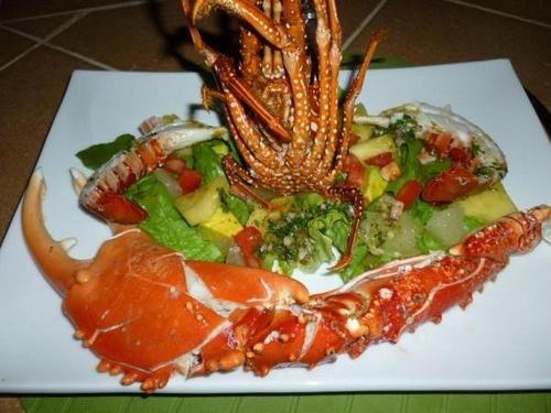 Bed & Breakfast Villa La Plantacion