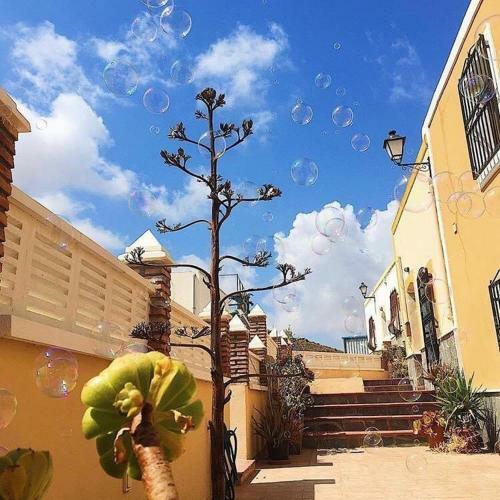 Cortijo Los Garridos - Fern�n P�rez