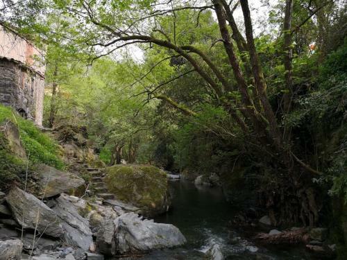 Agroturismo El Moli Del Montseny