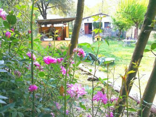 Agroturismo El Moli Del Montseny