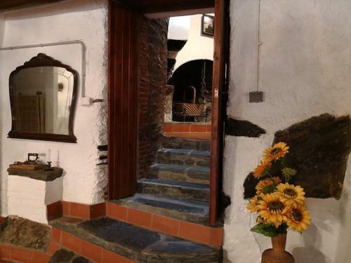 Agroturismo El Moli Del Montseny