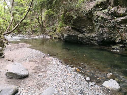 Agroturismo El Moli Del Montseny