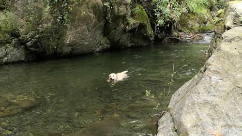 Agroturismo El Moli Del Montseny