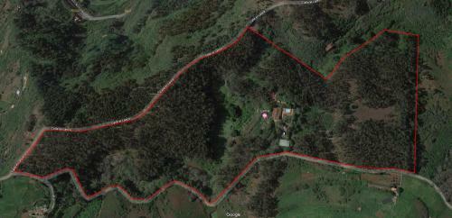 Casa Rural En Medio Del Bosque, El Lance