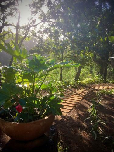 Casa Rural En Medio Del Bosque, El Lance