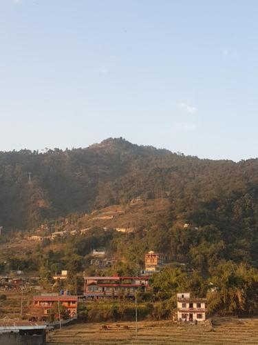 Hotel Nature Peace