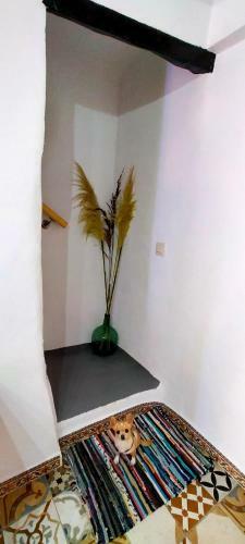 Casa Rural Benidorm Finestrat El Capricho