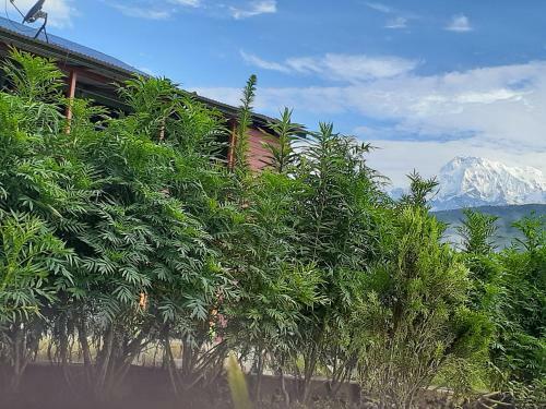 Hostal Nirvana Homestay