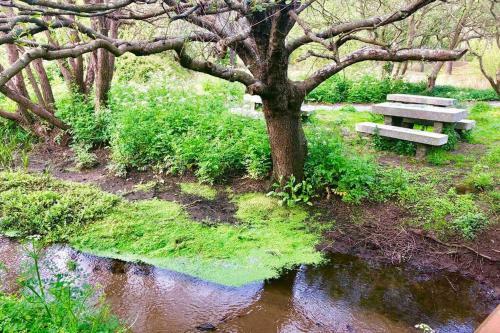 Apartamento 1� L�nea de Playa Rodeado de Naturaleza