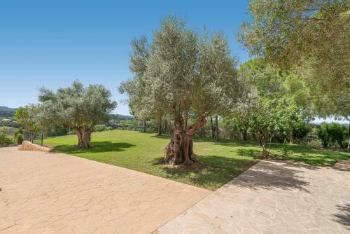 New! Villa Es Puig With Pool, Bbq, Wifi