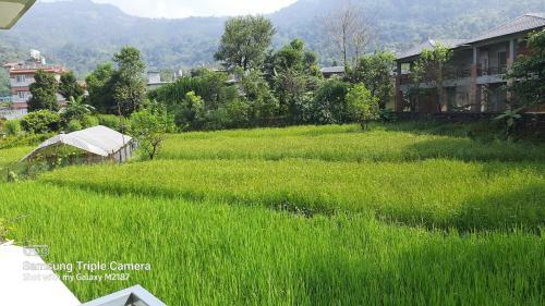 Sam Maya Homestay