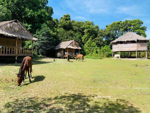 Albergue Preahatith Island