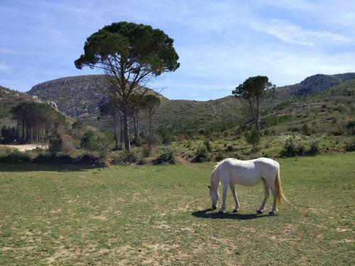 Apartamento Lliris Sol