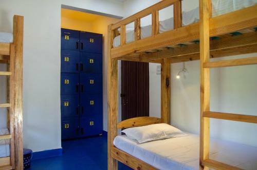 Green Nest Hostel & Guest House,north Goa,baga-arpora
