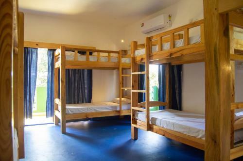 Green Nest Hostel & Guest House,north Goa,baga-arpora