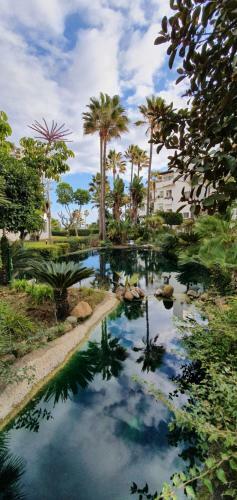 Apartamento Costalita Seaview