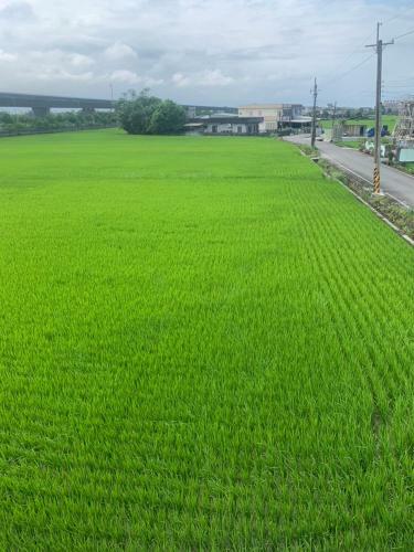 Tianxinyuan Homestay