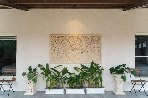 Man Living Bali Homestay