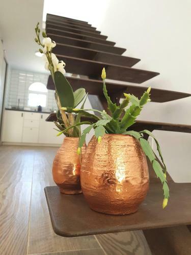 Apartamento Lugar De La Luz