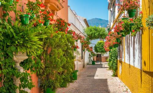 Estepona Seafront Apartment