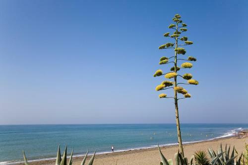 Apartment 213 Guadalmansa Playa Heaven Beach Apartrments