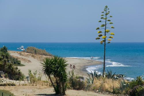 Apartment 213 Guadalmansa Playa Heaven Beach Apartrments