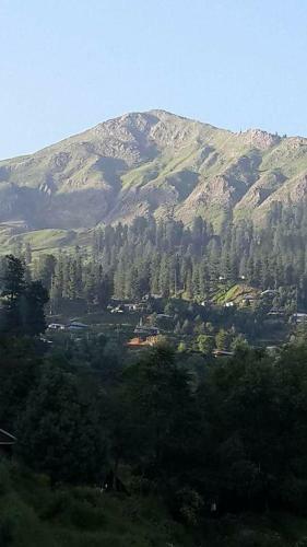 Hotel Springfield Guest House Rawalakot
