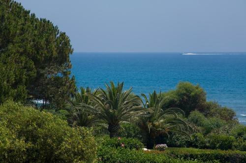 Heaven Beach Apartments Apartment 401