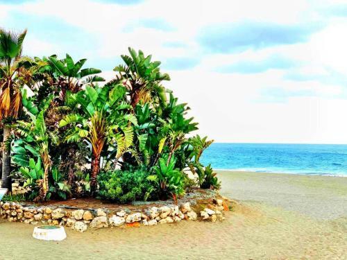 Apartamento Espectacular Piso En Primera L�nea De Playa