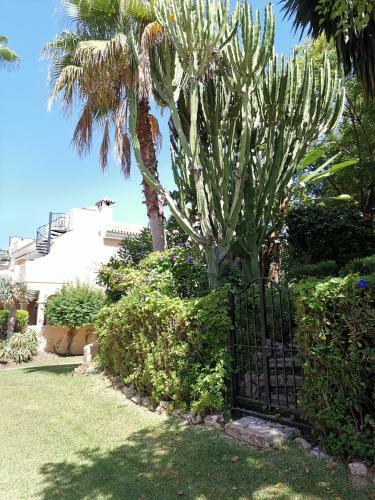 Apartamento Entre Marbella Y Estepona