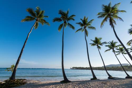 Hotel Grand Paradise Samana