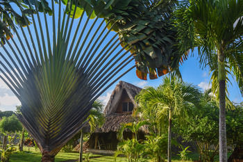 Chalet Tropical Village