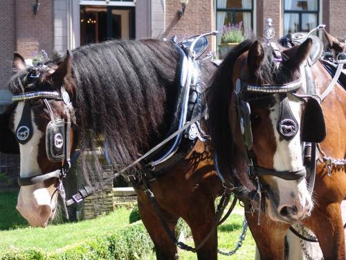 Hostal Kasteel Sterkenburg