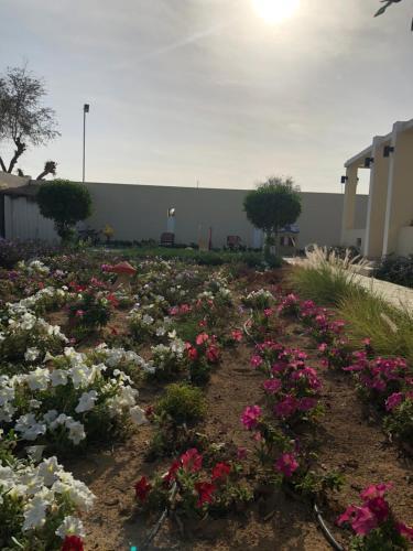 Agroturismo Al Ghoroub Farm Stay - ????? ?????? ??????? ??????